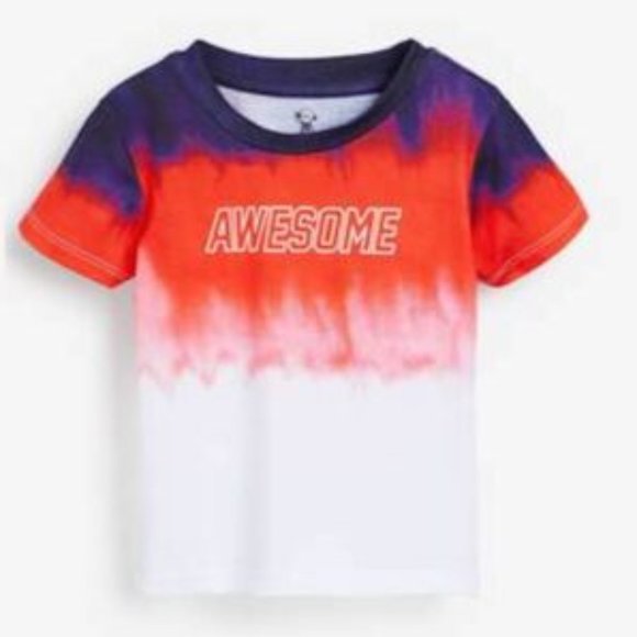 River Island Baby Boys Multicolor Faded 'Awesome' Print Short Sleeve T-Shirt - Picture 1 of 2